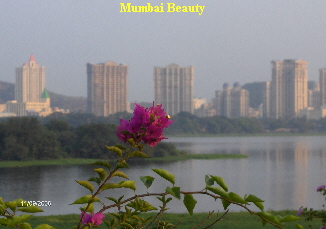 Mumbai Beauty